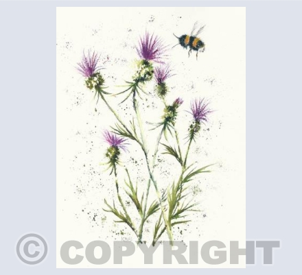 Thistles and bee