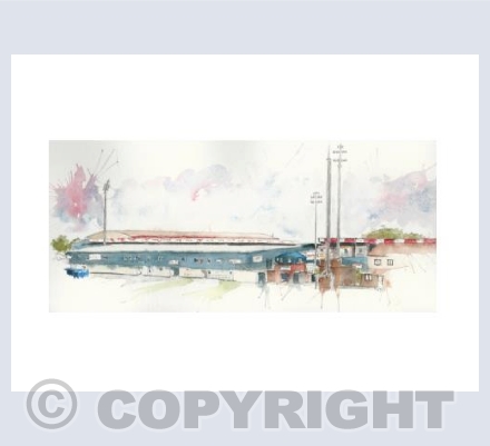 Ross County stadium
