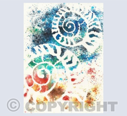 ammonites #1
