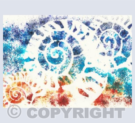 ammonites #2