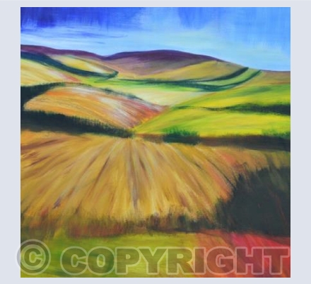 Aberdeenshire landscape