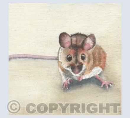 wee timorous beastie