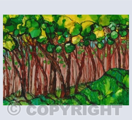 The Woods