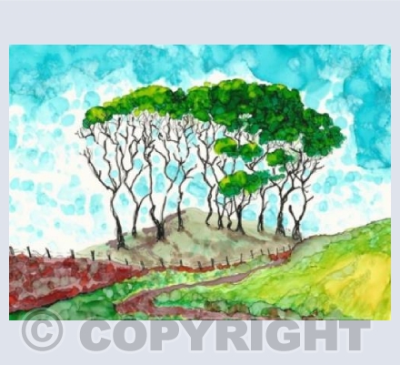 Aberdeenshire trees