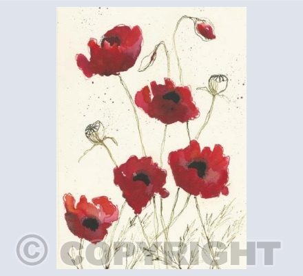 poppies