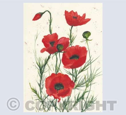 poppies