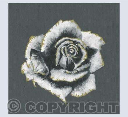 the rose