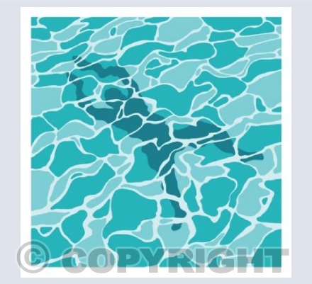 Swimmers shadow