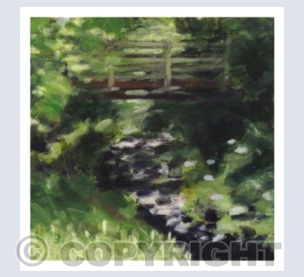 Out on Dartmoor - River and bridge