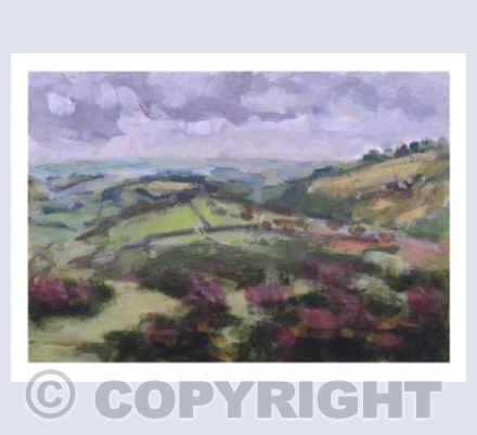 Around Haytor No1