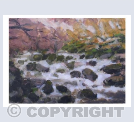 The River Dart