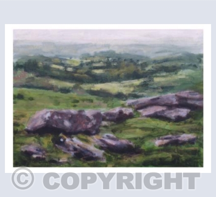 Around Haytor No3