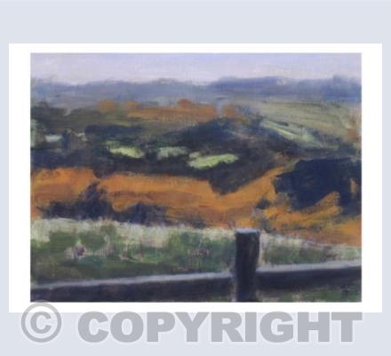 Out on Dartmoor - Over the fence