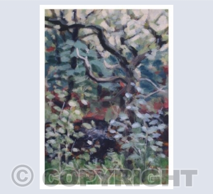 Out on Dartmoor - River and trees