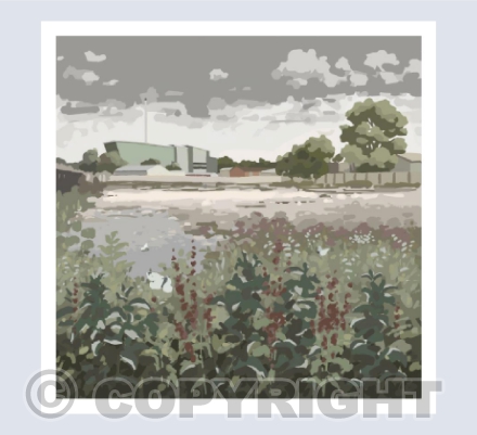 Marsh Barton in August