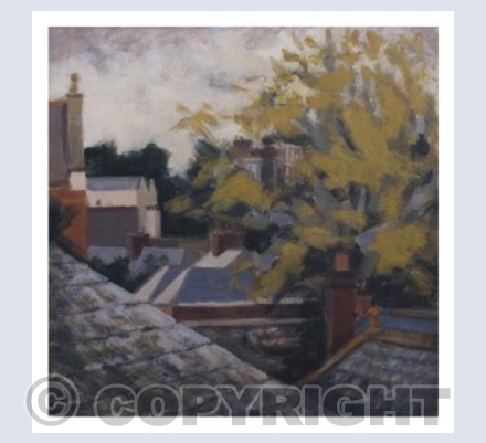 Exeter - roof top view No2