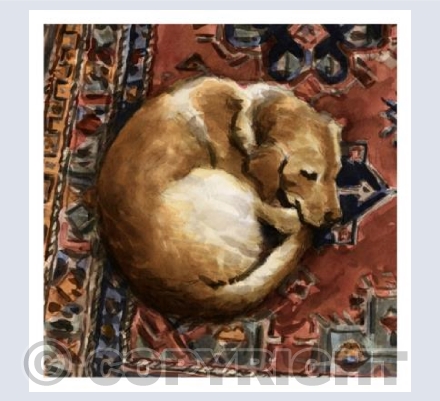 Dog no1