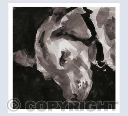 Dog no2