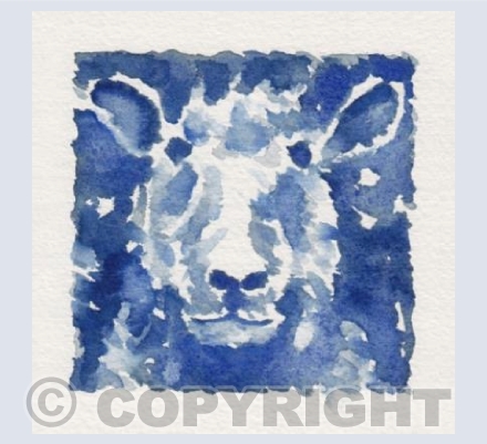 blue sheep