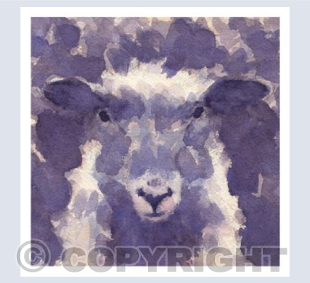  Purple sheep