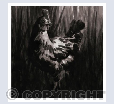 Chicken in the long grass