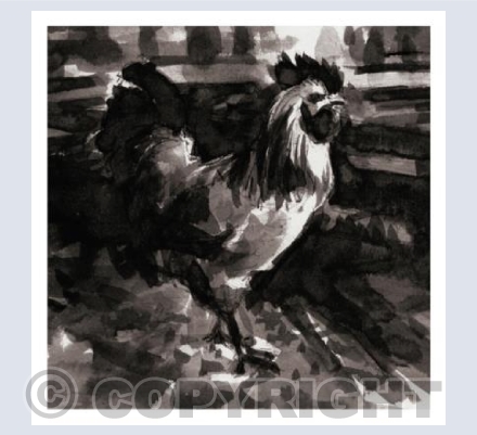 Cock 