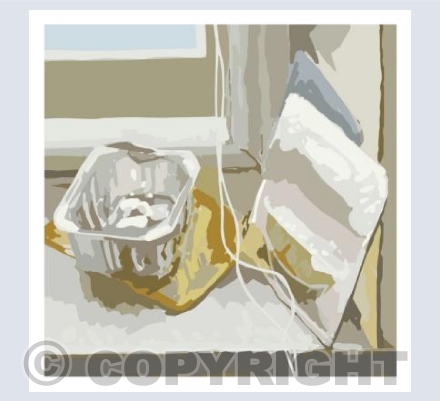 The kitchen window