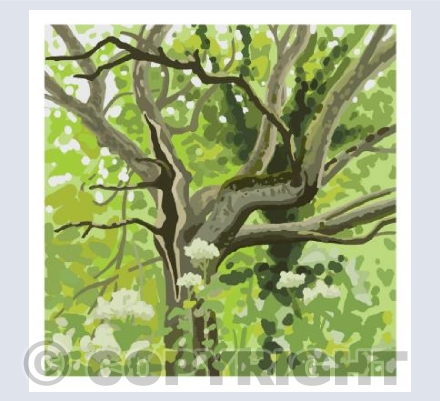 Split tree