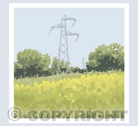 Buttercups and pylons
