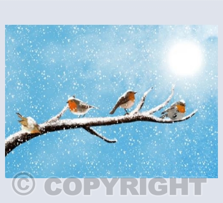 Four Little Birds