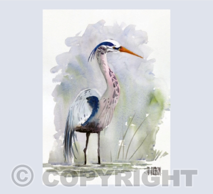 Heron