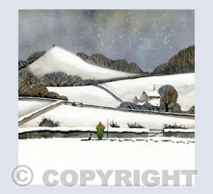 A Snowy Walk