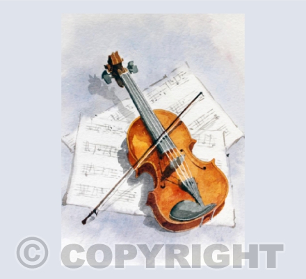 Violin