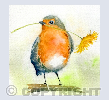 Robin