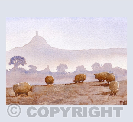 Lambs Grazing