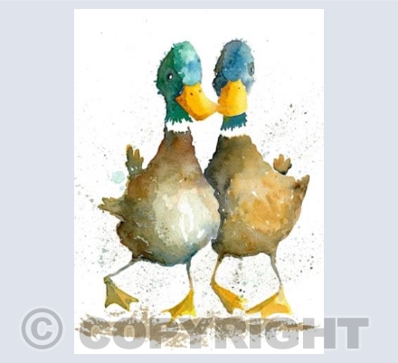 Love Birds