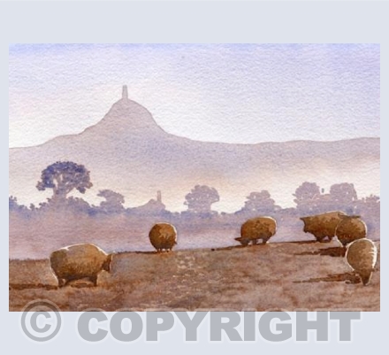 Lambs Under The Tor