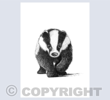 Badger