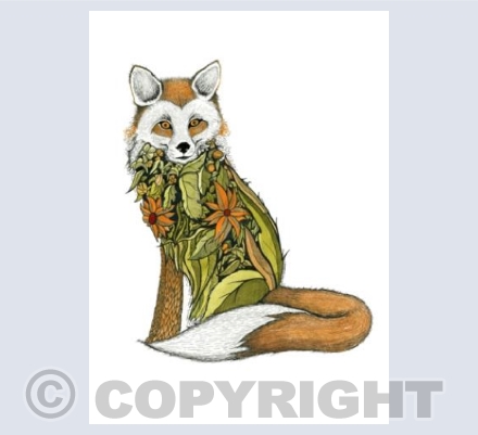 The Fox