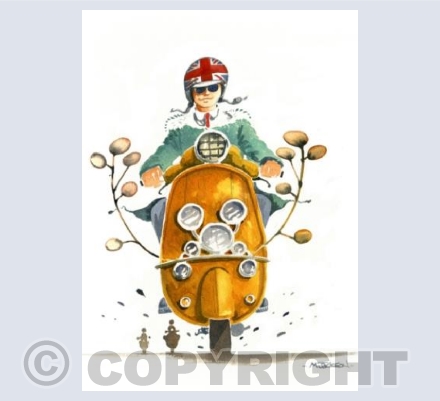 Scooter Dude