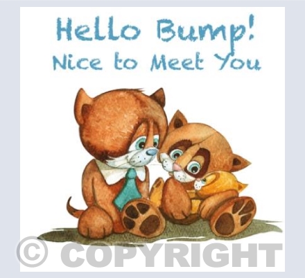 Hello Bump Boy