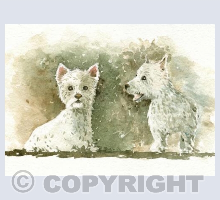 Westies