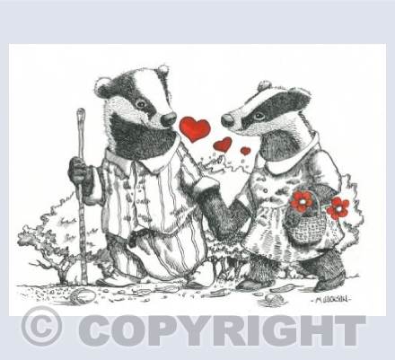 Badgers in Love