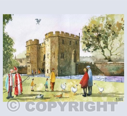 Feeding the Swans