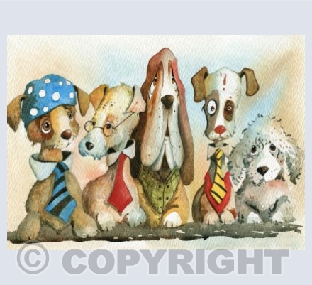 The Mutts