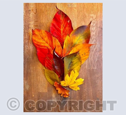 Floral leaves