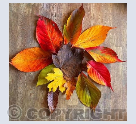 Signs of Autumn
