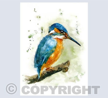 Kingfisher