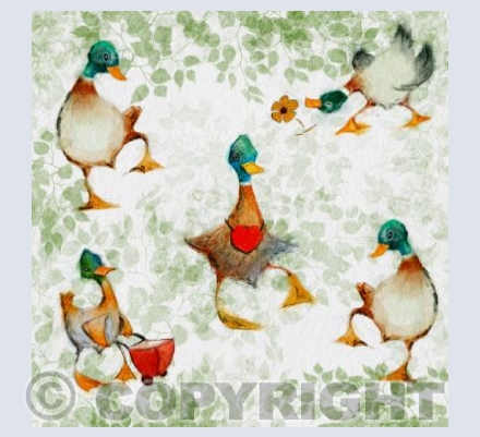 Ducks all around