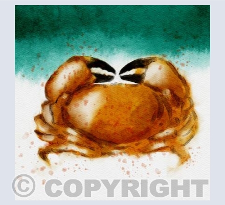 Crab